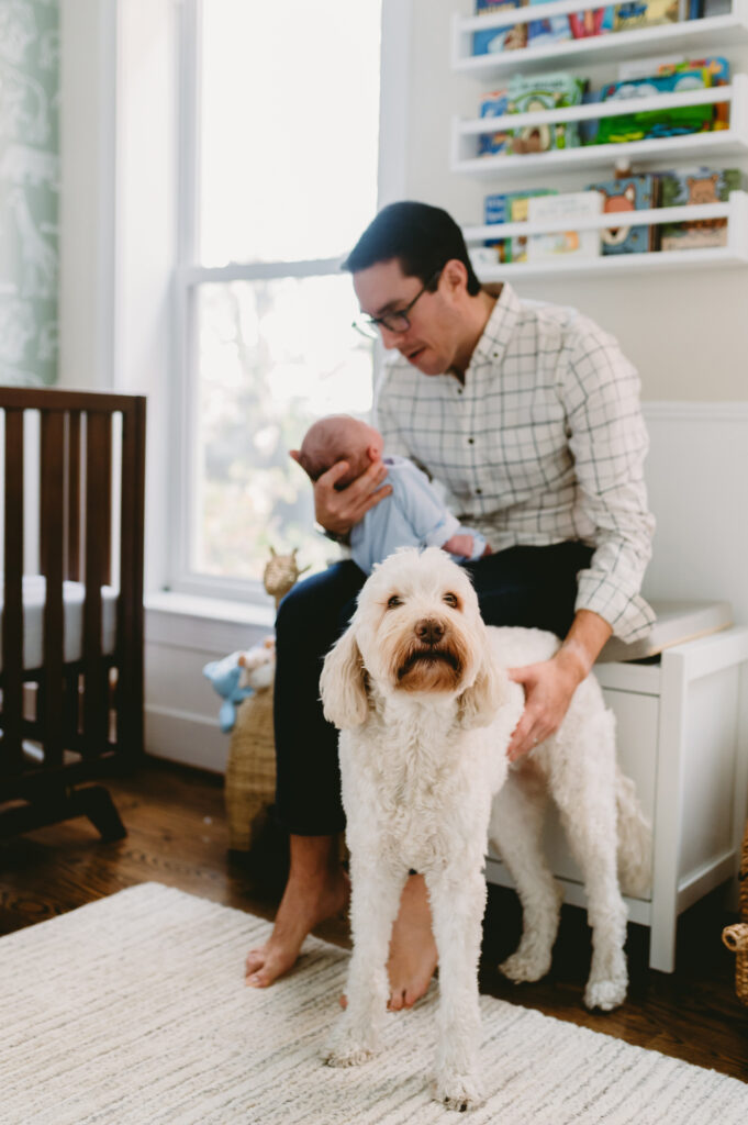 DC In-home Family Photos with a newborn and dog