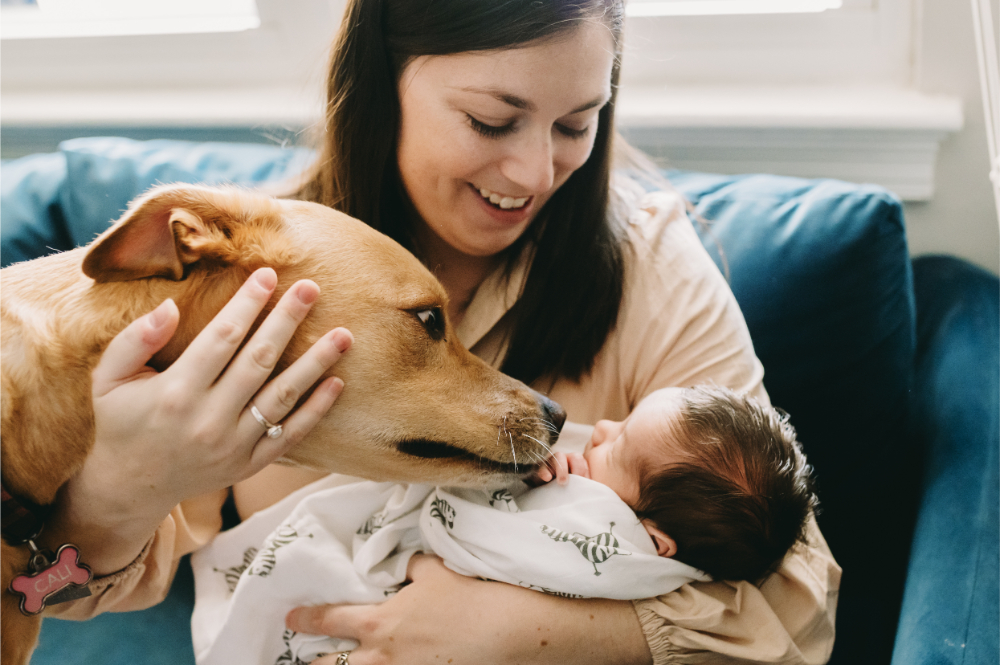 Lifestyle Newborn Session vs. Studio: Which One Fits Your Family Best? - NPS Photography Mother smiling as the family dog nuzzles the newborn baby during a cozy lifestyle newborn session in their living room.