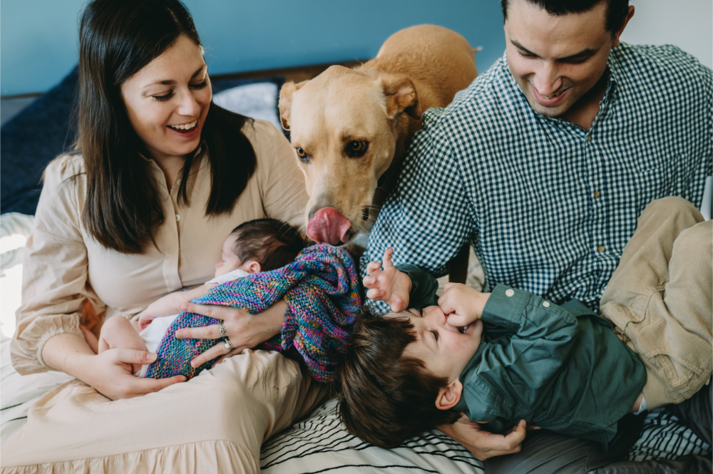 A joyful in-home moment capturing authentic photography client experiences with a newborn, toddler, and family dog.
