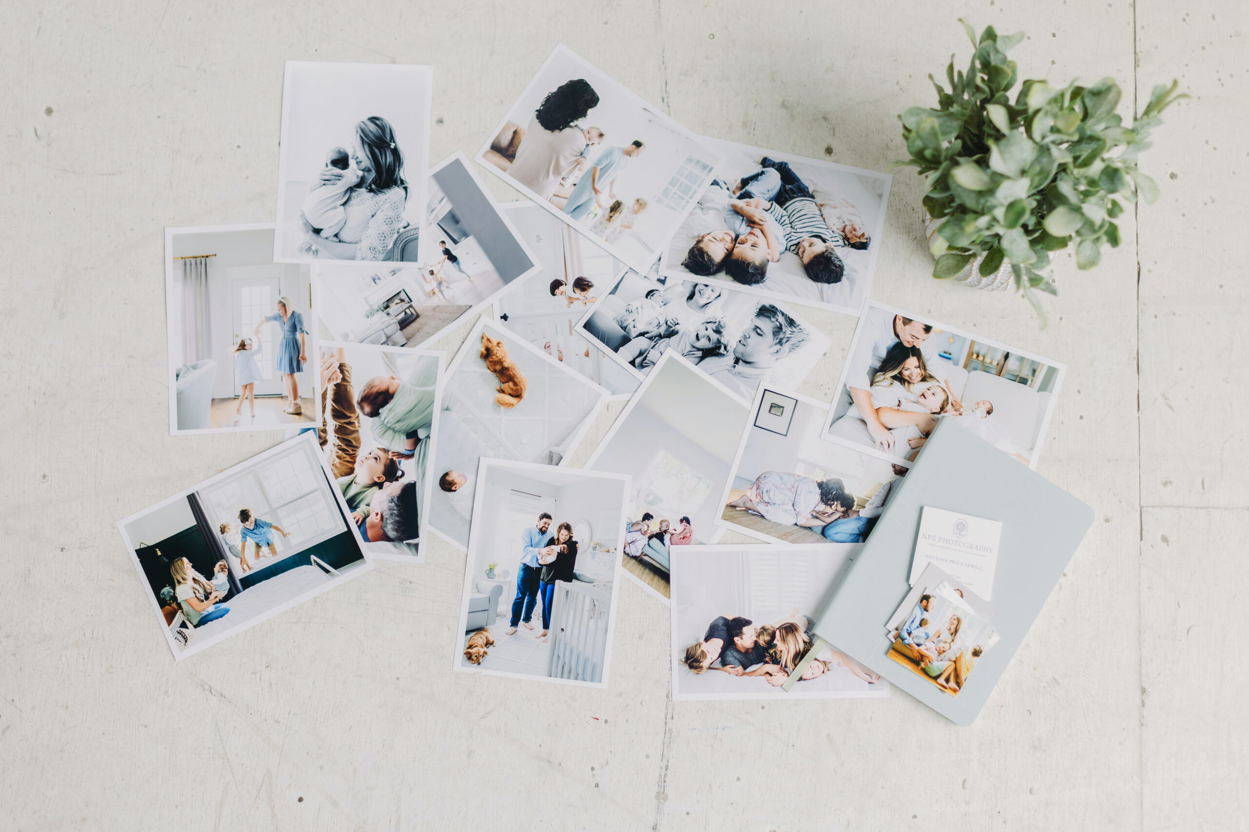 Family Photo Gift Ideas Your Loved Ones Will Treasure This Holiday Season - NPS Photography Assortment of printed family photos styled flat lay with greenery, highlighting modern family photo gift ideas for holiday gifting.